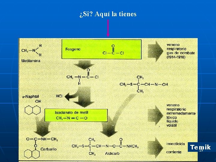 ¿Si? Aquí la tienes Temik 19 ¿Si? Aquí la tienes Temik 19
