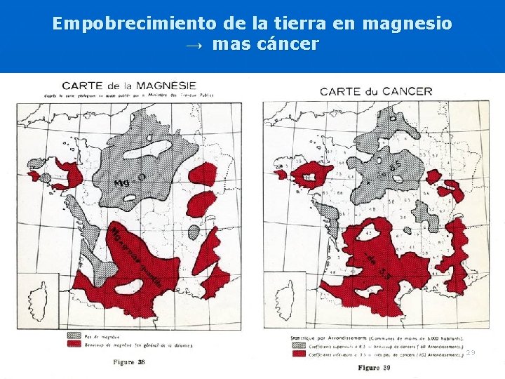 Empobrecimiento de la tierra en magnesio → mas cáncer 29 Empobrecimiento de la tierra en magnesio → mas cáncer 29
