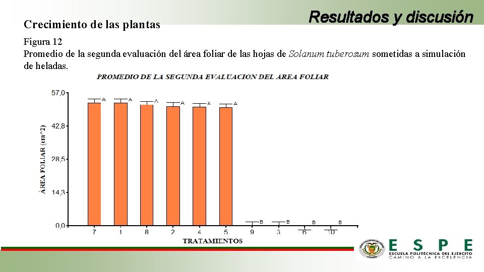 Crecimiento de las plantas Resultados y discusión Figura 12 Promedio de la segunda evaluación