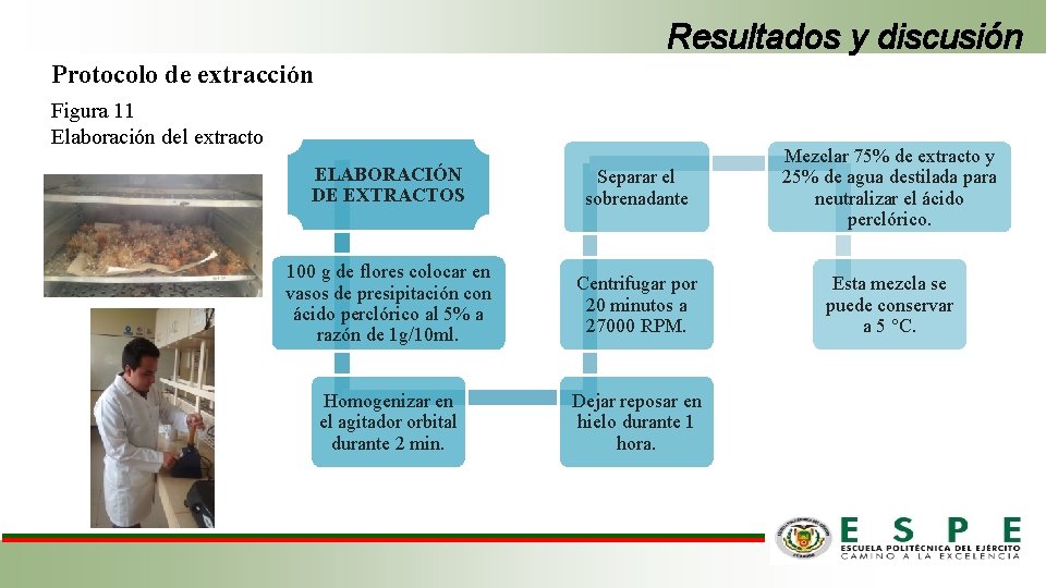 Resultados y discusión Protocolo de extracción Figura 11 Elaboración del extracto ELABORACIÓN DE EXTRACTOS