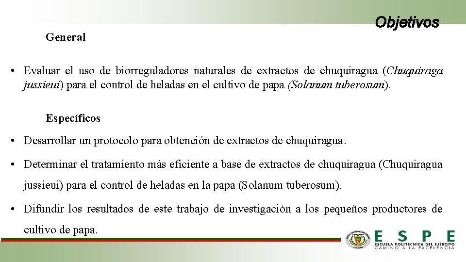 General Objetivos • Evaluar el uso de biorreguladores naturales de extractos de chuquiragua (Chuquiraga