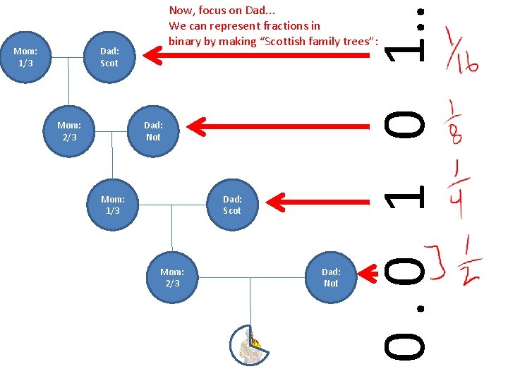 Dad: Scot Mom: 2/3 Dad: Not Mom: 1/3 Dad: Scot Mom: 2/3 Dad: Not