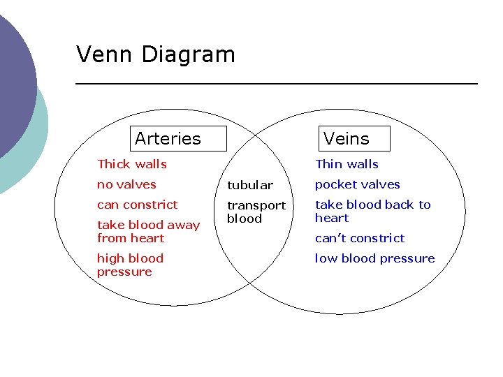 Venn Diagram Arteries Veins Thick walls Thin walls no valves tubular pocket valves can