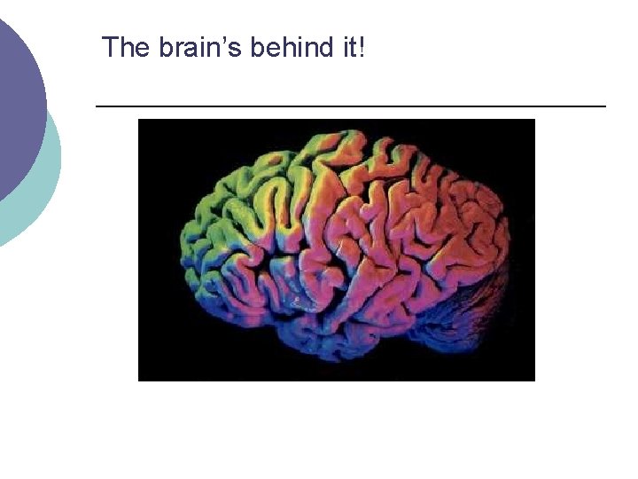 The brain’s behind it! 