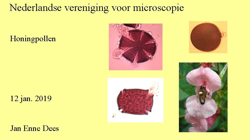 Nederlandse vereniging voor microscopie Honingpollen 12 jan. 2019 Jan Enne Dees 