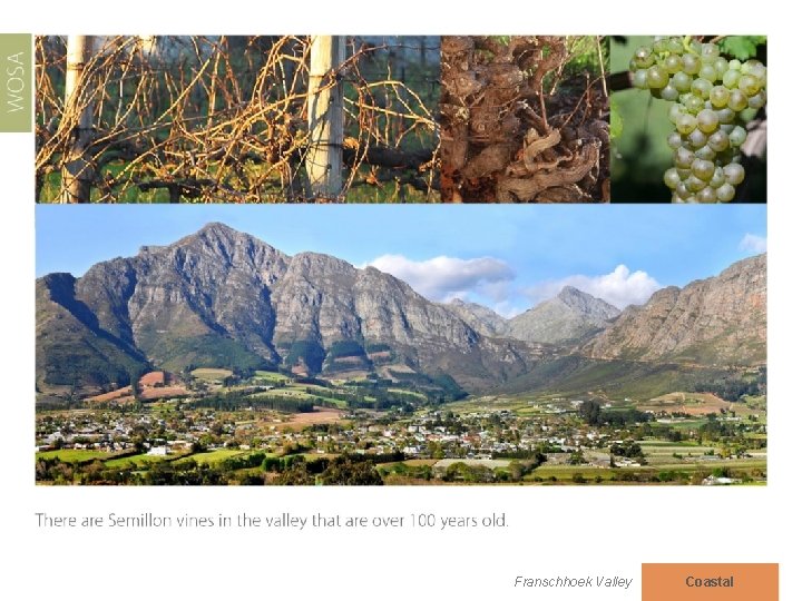 Franschhoek Valley Coastal 