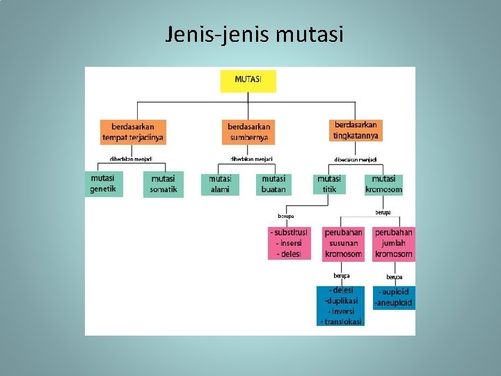 Jenis-jenis mutasi 