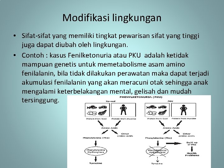 Modifikasi lingkungan • Sifat-sifat yang memiliki tingkat pewarisan sifat yang tinggi juga dapat diubah