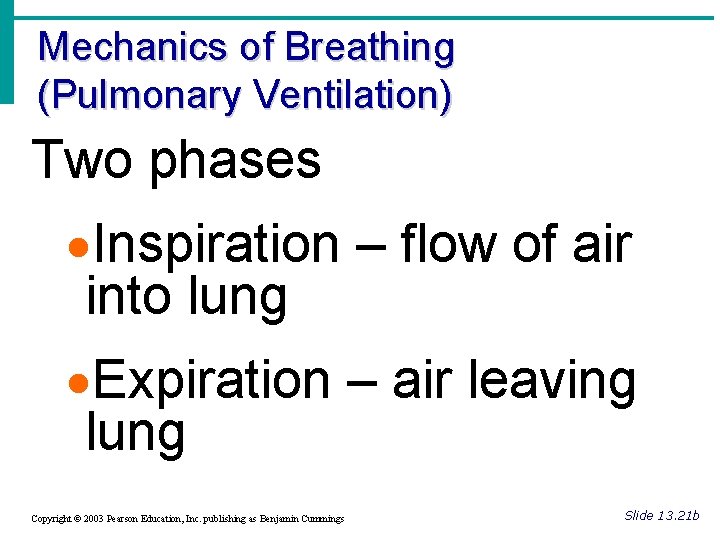 Mechanics of Breathing (Pulmonary Ventilation) Two phases ·Inspiration – flow of air into lung