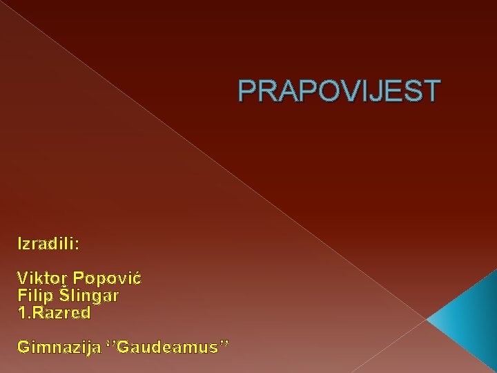 PRAPOVIJEST Izradili: Viktor Popović Filip Šlingar 1. Razred Gimnazija ‘’Gaudeamus’’ 