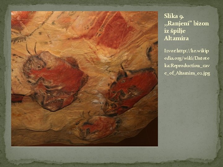 Slika 9. , , Ranjeni’’ bizon iz špilje Altamira Izvor: http: //hr. wikip edia.