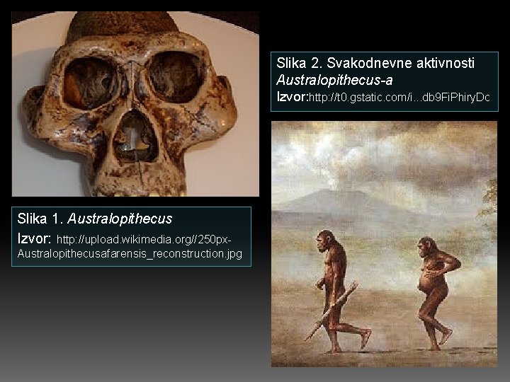 Slika 2. Svakodnevne aktivnosti Australopithecus-a Izvor: http: //t 0. gstatic. com/i. . . db
