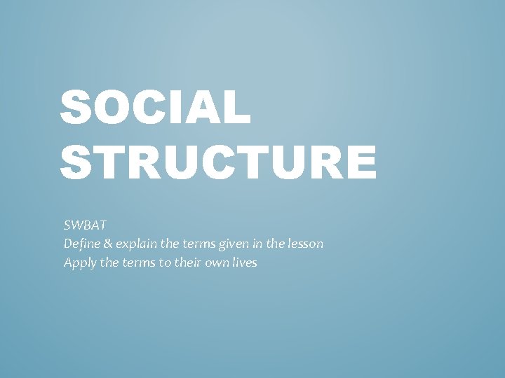 SOCIAL STRUCTURE SWBAT Define & explain the terms given in the lesson Apply the