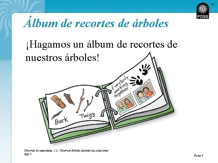 TM Álbum de recortes de árboles ¡Hagamos un álbum de recortes de nuestros árboles!