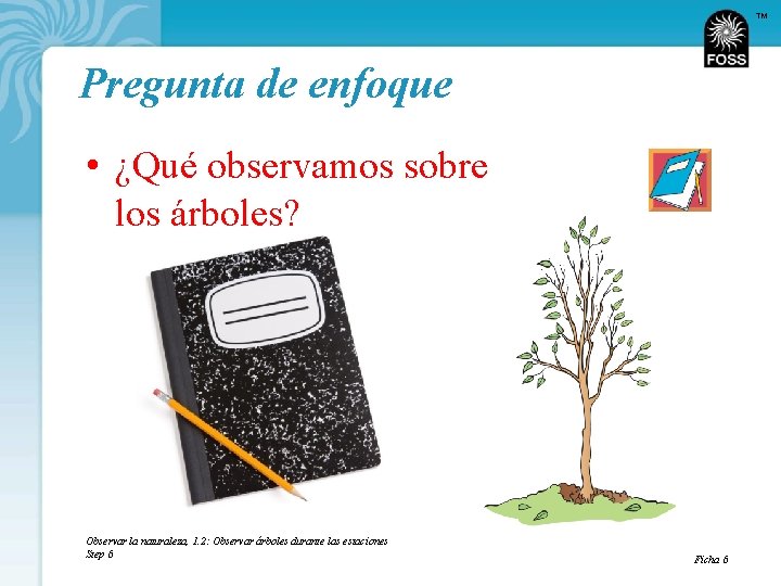 TM Pregunta de enfoque • ¿Qué observamos sobre los árboles? Observar la naturaleza, 1.