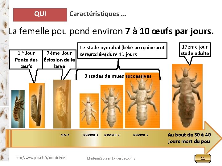 QUI Caractéristiques … La femelle pou pond environ 7 à 10 œufs par jours.