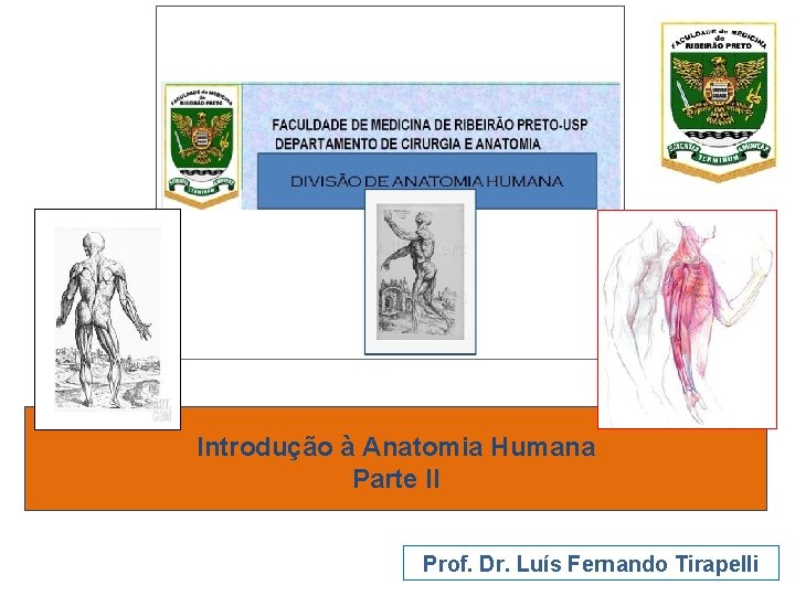 Introdução à Anatomia Humana Parte II Prof. Dr. Luís Fernando Tirapelli 