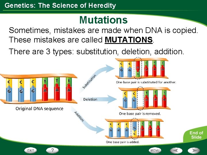 Genetics: The Science of Heredity Mutations Sometimes, mistakes are made when DNA is copied. Genetics: The Science of Heredity Mutations Sometimes, mistakes are made when DNA is copied.