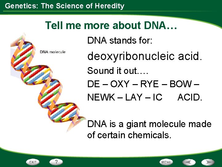 Genetics: The Science of Heredity Tell me more about DNA… DNA stands for: deoxyribonucleic