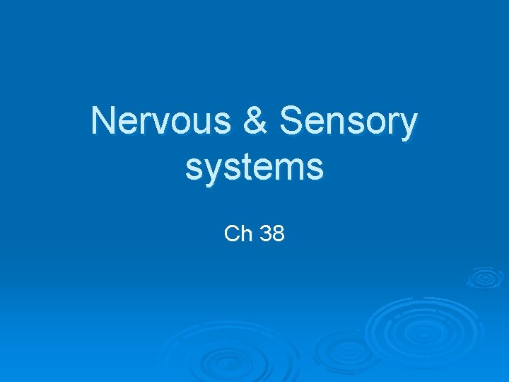 Nervous & Sensory systems Ch 38 
