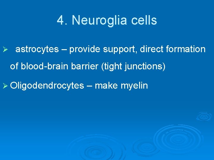 4. Neuroglia cells Ø astrocytes – provide support, direct formation of blood-brain barrier (tight