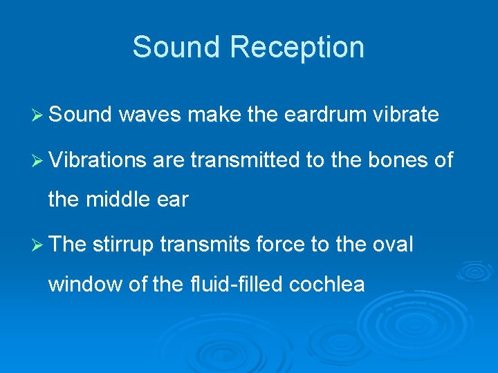 Sound Reception Ø Sound waves make the eardrum vibrate Ø Vibrations are transmitted to