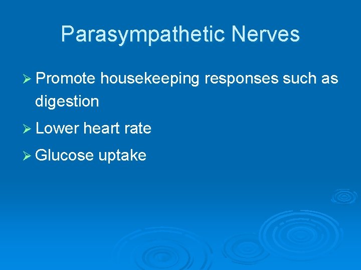 Parasympathetic Nerves Ø Promote housekeeping responses such as digestion Ø Lower heart rate Ø