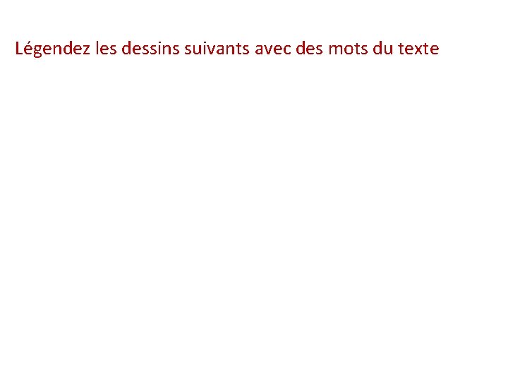 Légendez les dessins suivants avec des mots du texte 