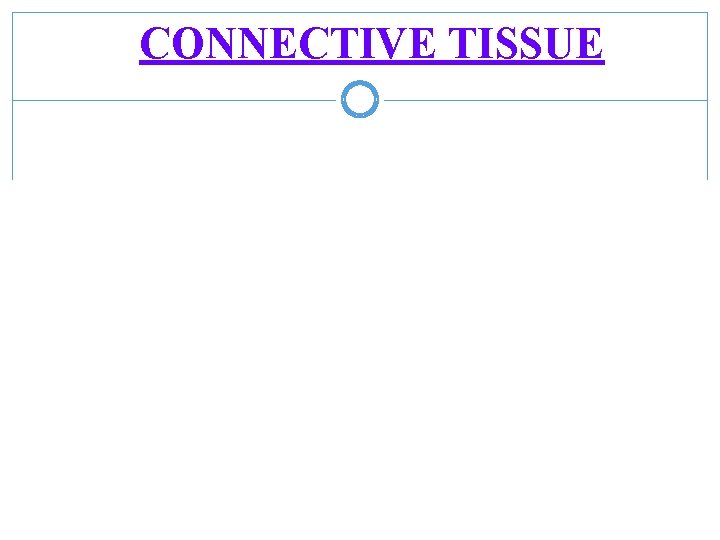 CONNECTIVE TISSUE 