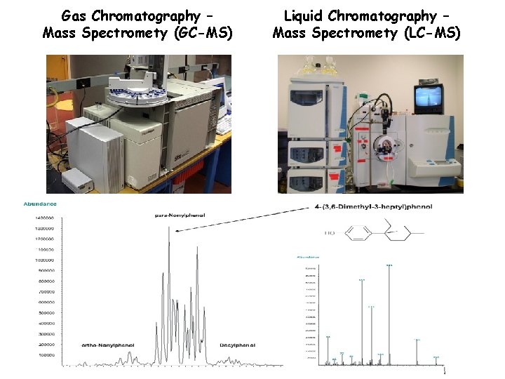 Gas Chromatography – Mass Spectromety (GC-MS) Liquid Chromatography – Mass Spectromety (LC-MS) 