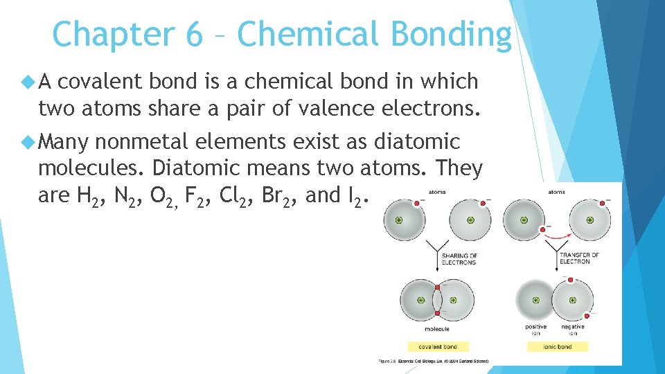 Chapter 6 – Chemical Bonding A covalent bond is a chemical bond in which