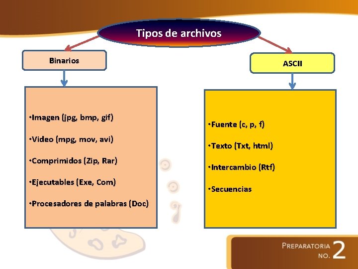 Tipos de archivos Binarios • Imagen (jpg, bmp, gif) • Video (mpg, mov, avi)