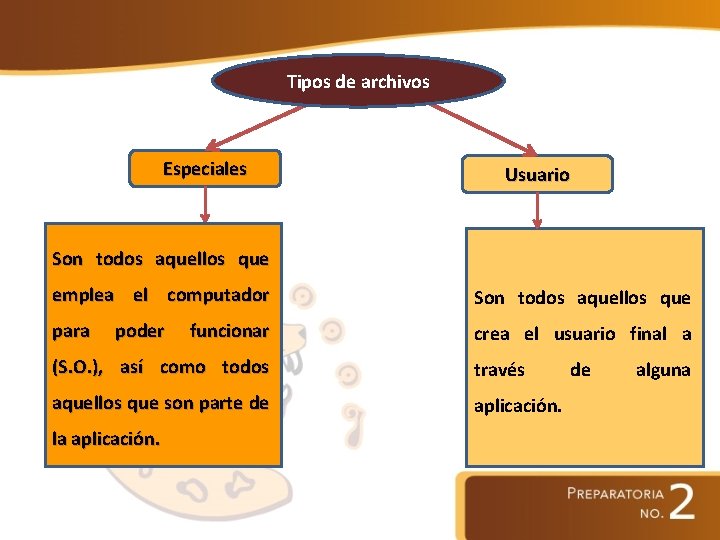 Tipos de archivos Especiales Usuario Son todos aquellos que emplea el computador Son todos