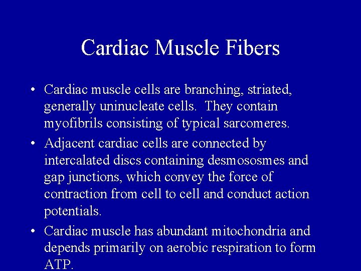 Cardiac Muscle Fibers • Cardiac muscle cells are branching, striated, generally uninucleate cells. They