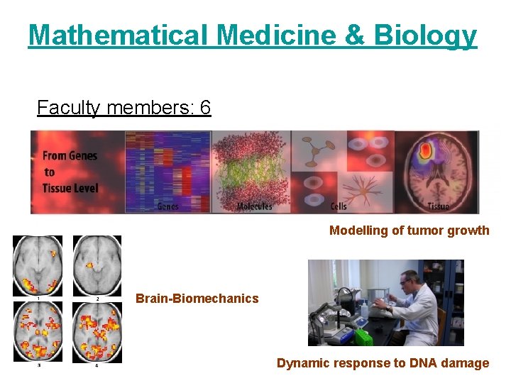Mathematical Medicine & Biology Faculty members: 6 Modelling of tumor growth Brain-Biomechanics Dynamic response Mathematical Medicine & Biology Faculty members: 6 Modelling of tumor growth Brain-Biomechanics Dynamic response