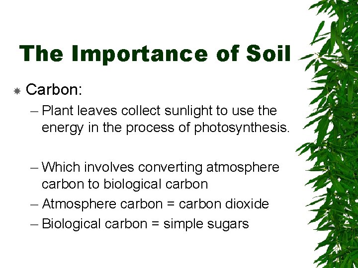 The Importance of Soil Carbon: – Plant leaves collect sunlight to use the energy