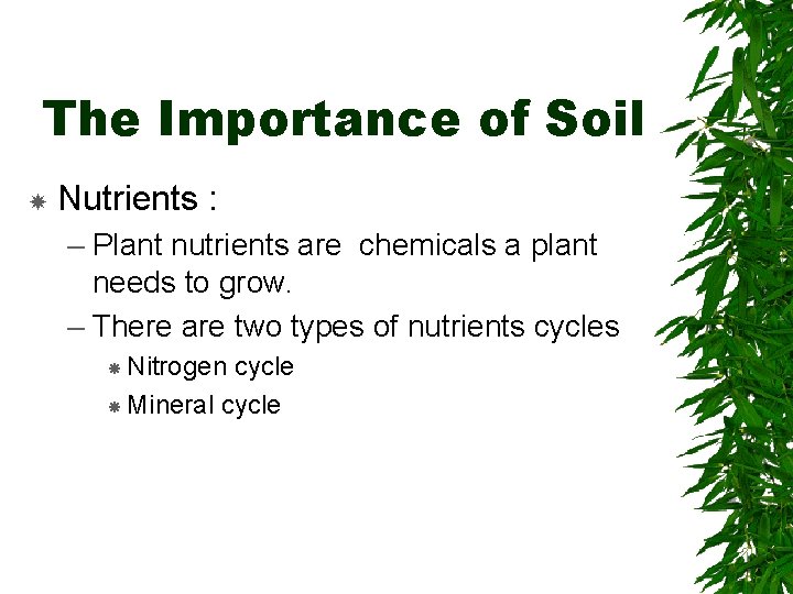The Importance of Soil Nutrients : – Plant nutrients are chemicals a plant needs