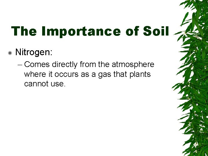 The Importance of Soil Nitrogen: – Comes directly from the atmosphere where it occurs