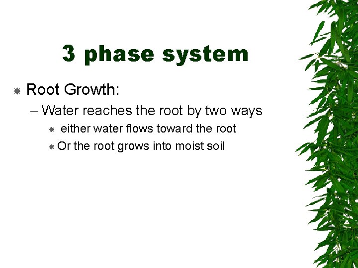 3 phase system Root Growth: – Water reaches the root by two ways either
