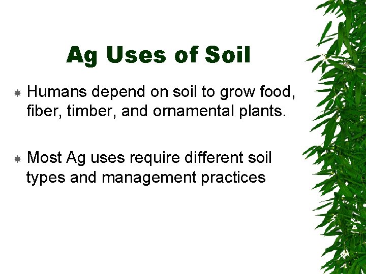 Ag Uses of Soil Humans depend on soil to grow food, fiber, timber, and