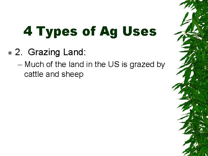 4 Types of Ag Uses 2. Grazing Land: – Much of the land in