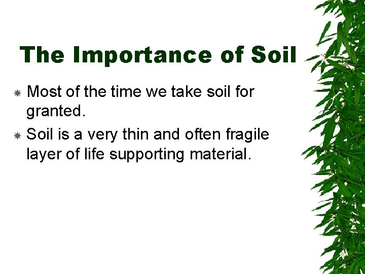 The Importance of Soil Most of the time we take soil for granted. Soil