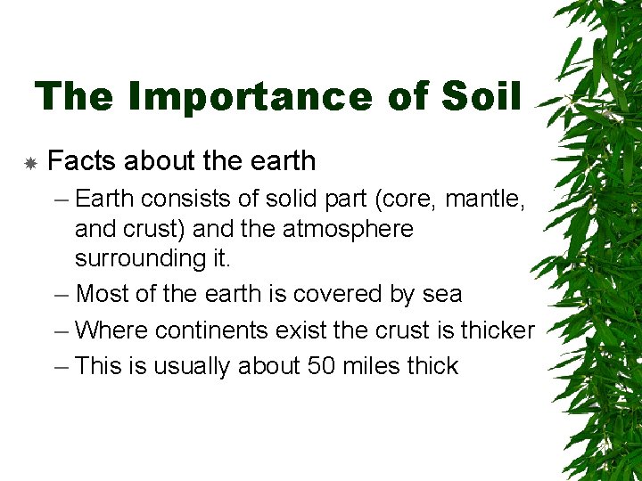 The Importance of Soil Facts about the earth – Earth consists of solid part