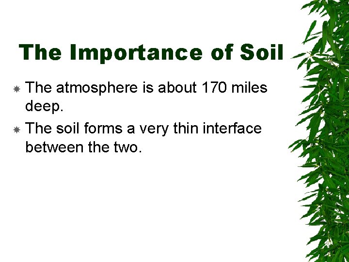 The Importance of Soil The atmosphere is about 170 miles deep. The soil forms