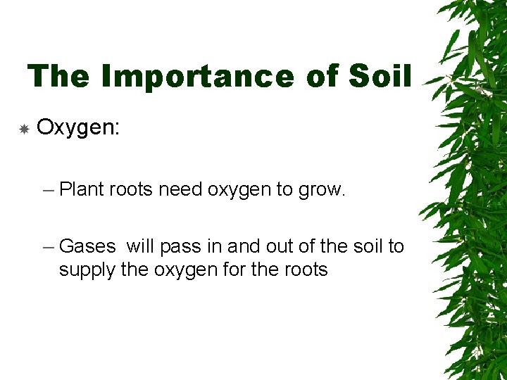 The Importance of Soil Oxygen: – Plant roots need oxygen to grow. – Gases