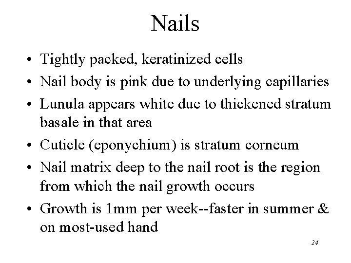 Nails • Tightly packed, keratinized cells • Nail body is pink due to underlying
