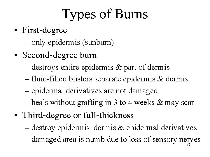 Types of Burns • First-degree – only epidermis (sunburn) • Second-degree burn – destroys