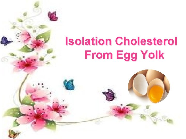 Isolation Cholesterol From Egg Yolk 