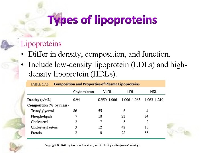 Lipoproteins • Differ in density, composition, and function. • Include low-density lipoprotein (LDLs) and