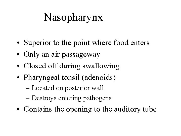 Nasopharynx • • Superior to the point where food enters Only an air passageway